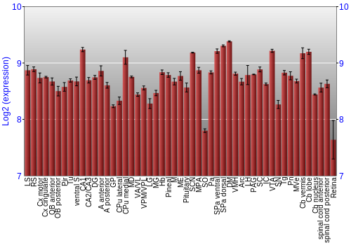 Expression graph