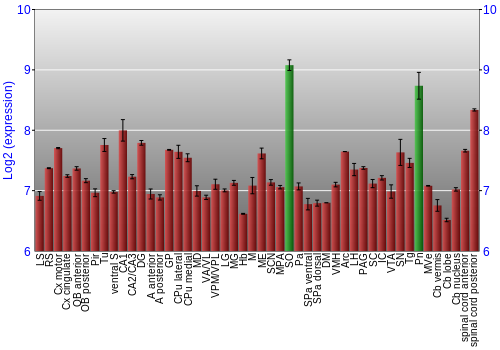 Multi-state expression graph