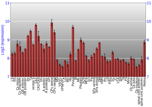Expression graph