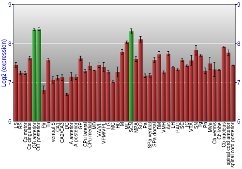 Multi-state expression graph