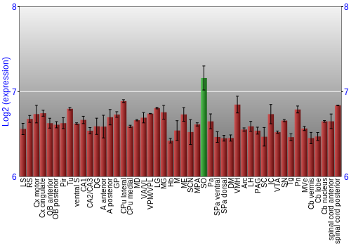 Multi-state expression graph