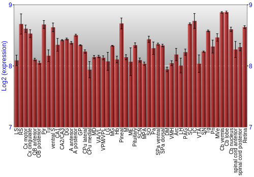 Expression graph