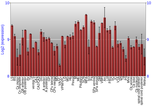 Expression graph