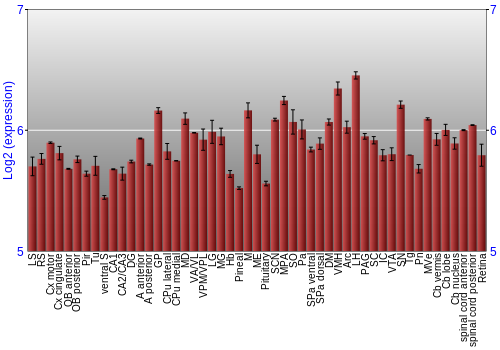 Expression graph