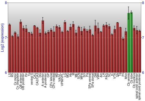 Multi-state expression graph