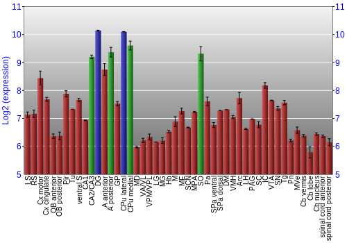 Multi-state expression graph