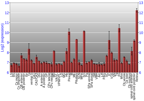 Expression graph