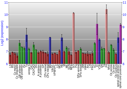 Multi-state expression graph