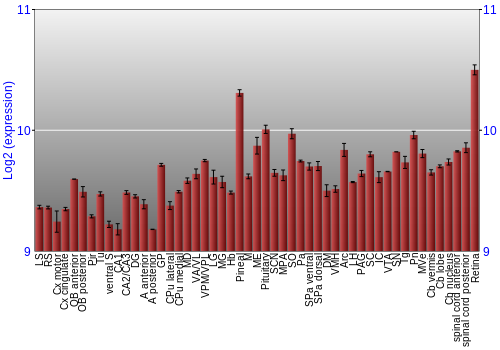 Expression graph