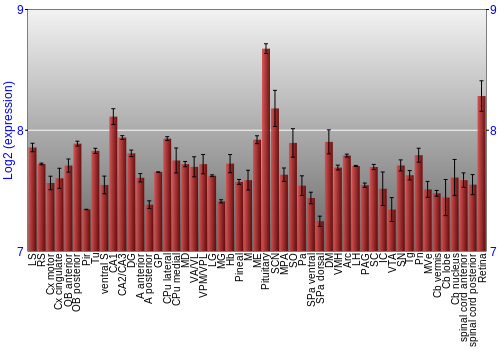 Expression graph