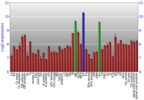 Multi-state expression graph