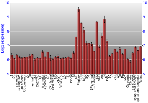 Expression graph