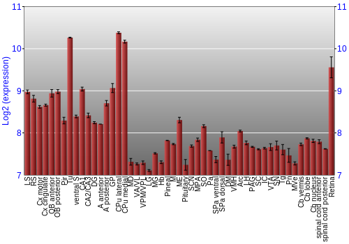 Expression graph