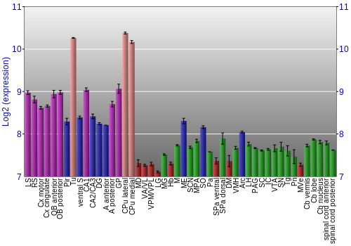 Multi-state expression graph