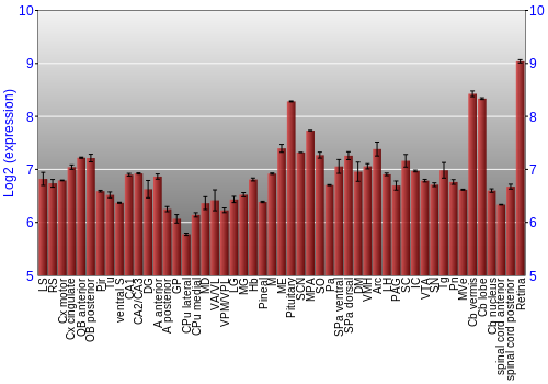 Expression graph