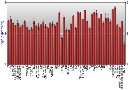 Expression graph
