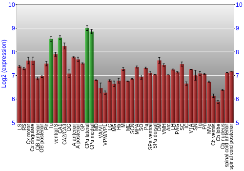 Multi-state expression graph