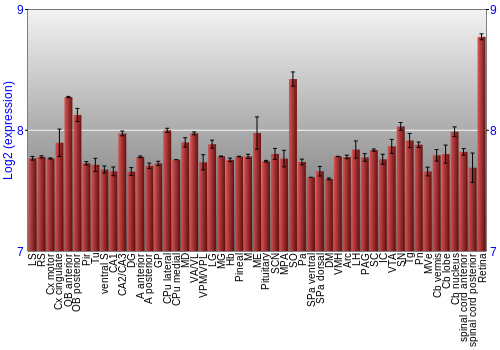 Expression graph