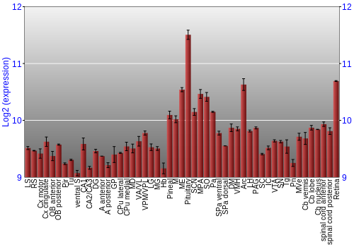 Expression graph