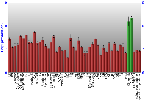 Multi-state expression graph