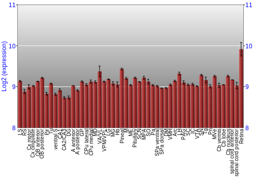 Expression graph