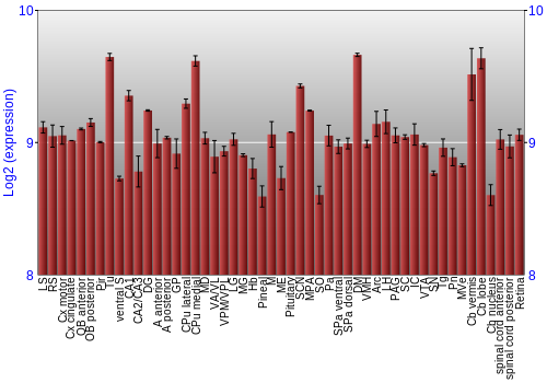 Expression graph