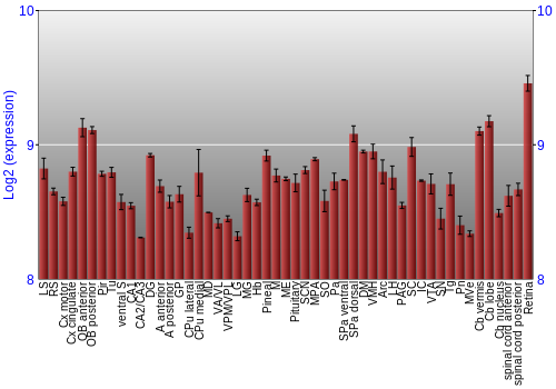 Expression graph