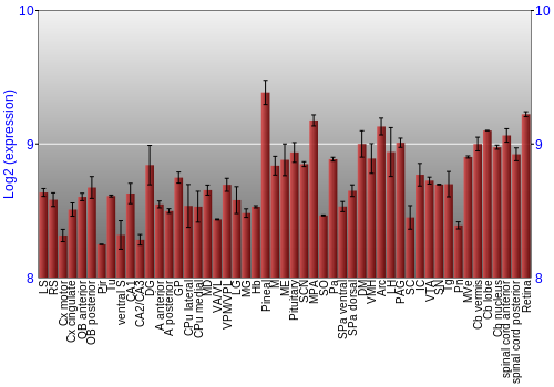 Expression graph