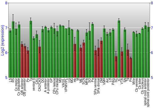 Multi-state expression graph