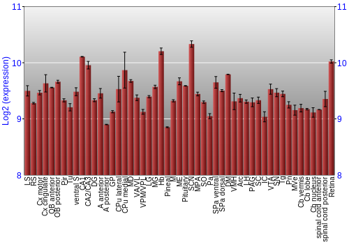 Expression graph