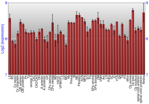 Expression graph