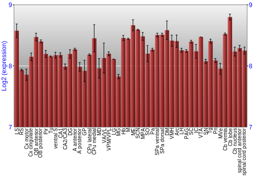 Multi-state expression graph