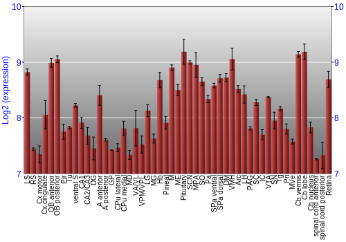 Expression graph