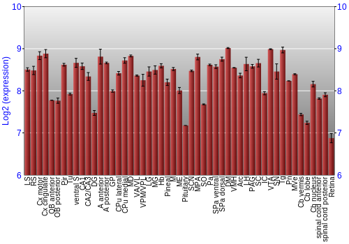 Expression graph