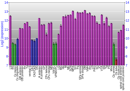 Multi-state expression graph
