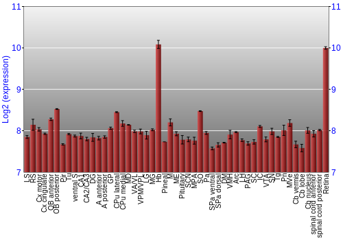 Expression graph
