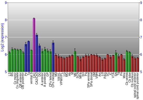 Multi-state expression graph