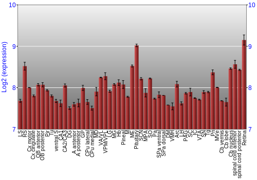 Expression graph