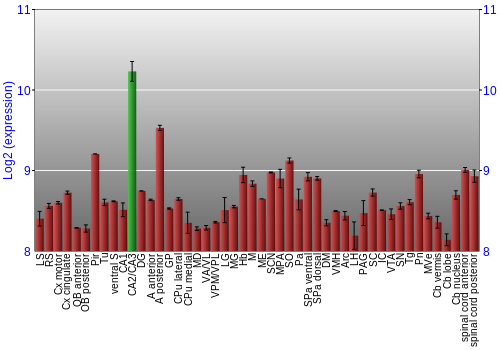Multi-state expression graph