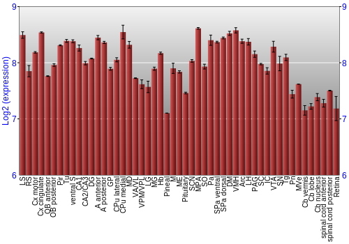 Expression graph