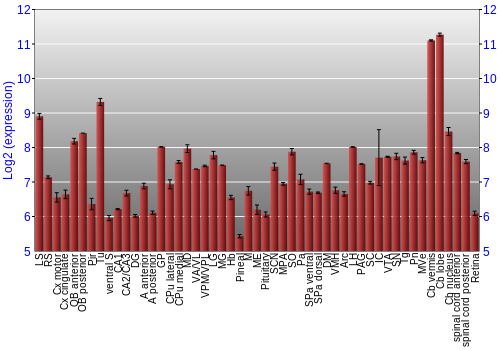 Expression graph