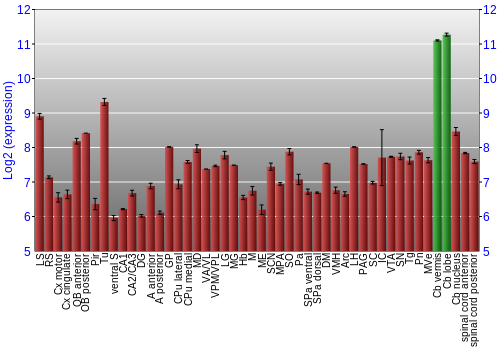 Multi-state expression graph