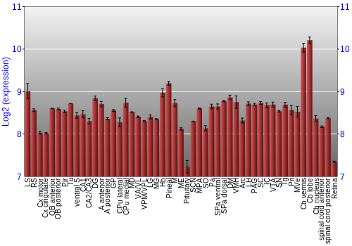 Expression graph