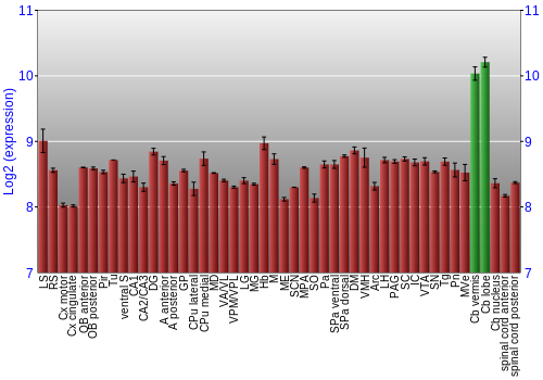 Multi-state expression graph