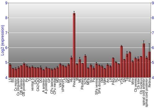 Expression graph