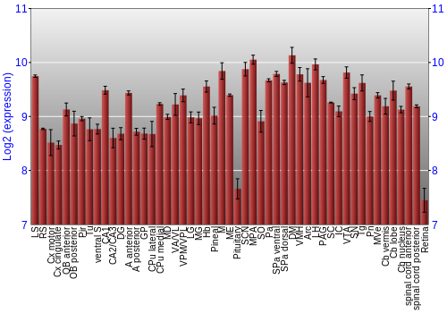 Expression graph