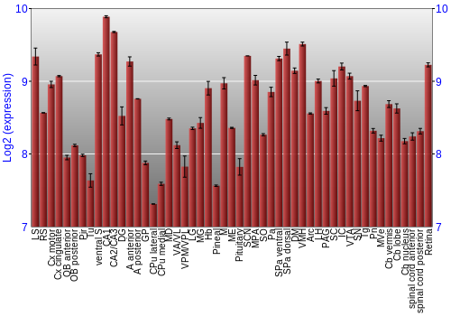 Expression graph