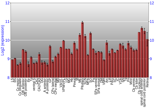 Expression graph