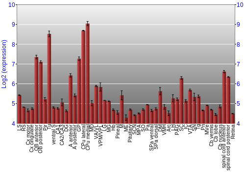 Expression graph