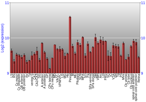 Expression graph